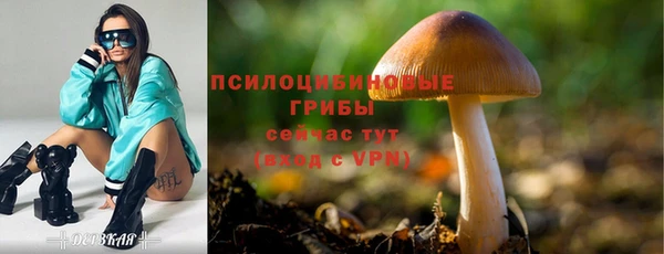 spice Алзамай