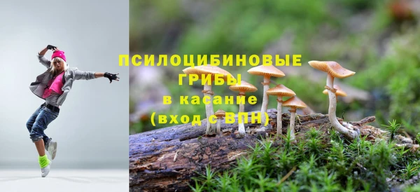 spice Алзамай