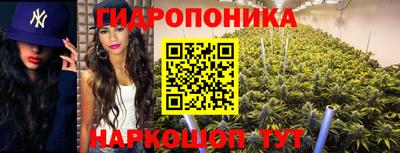 таблы Краснодар