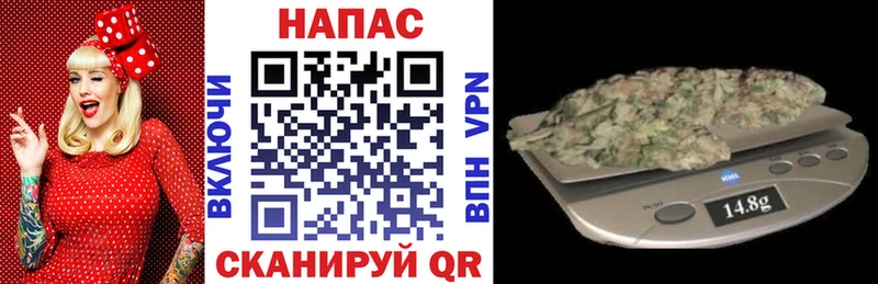 Конопля семена  Кудрово 