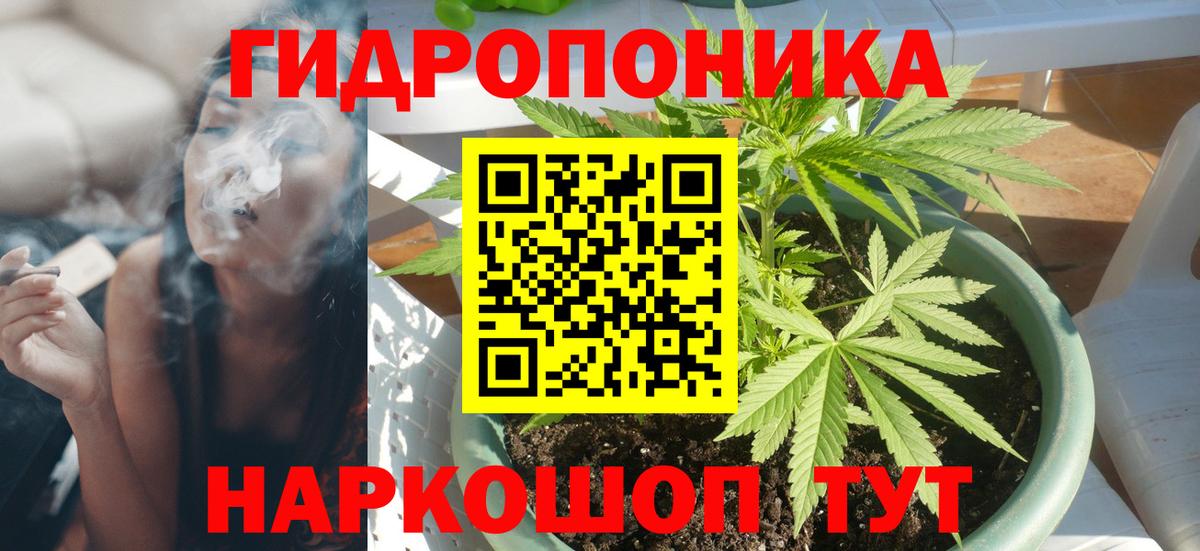 Псилоцибиновые грибы Кудрово